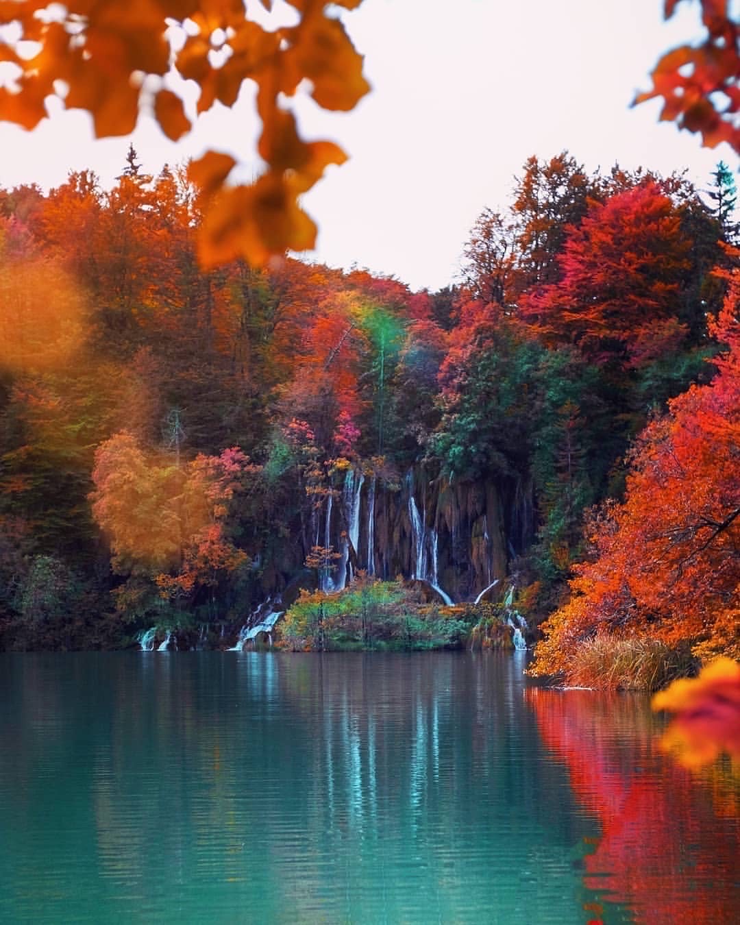 Natural Beauty