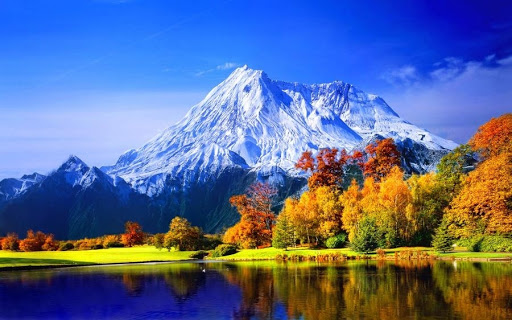 Beautiful nature